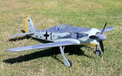 FW 190