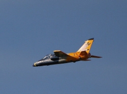 DSC_9249